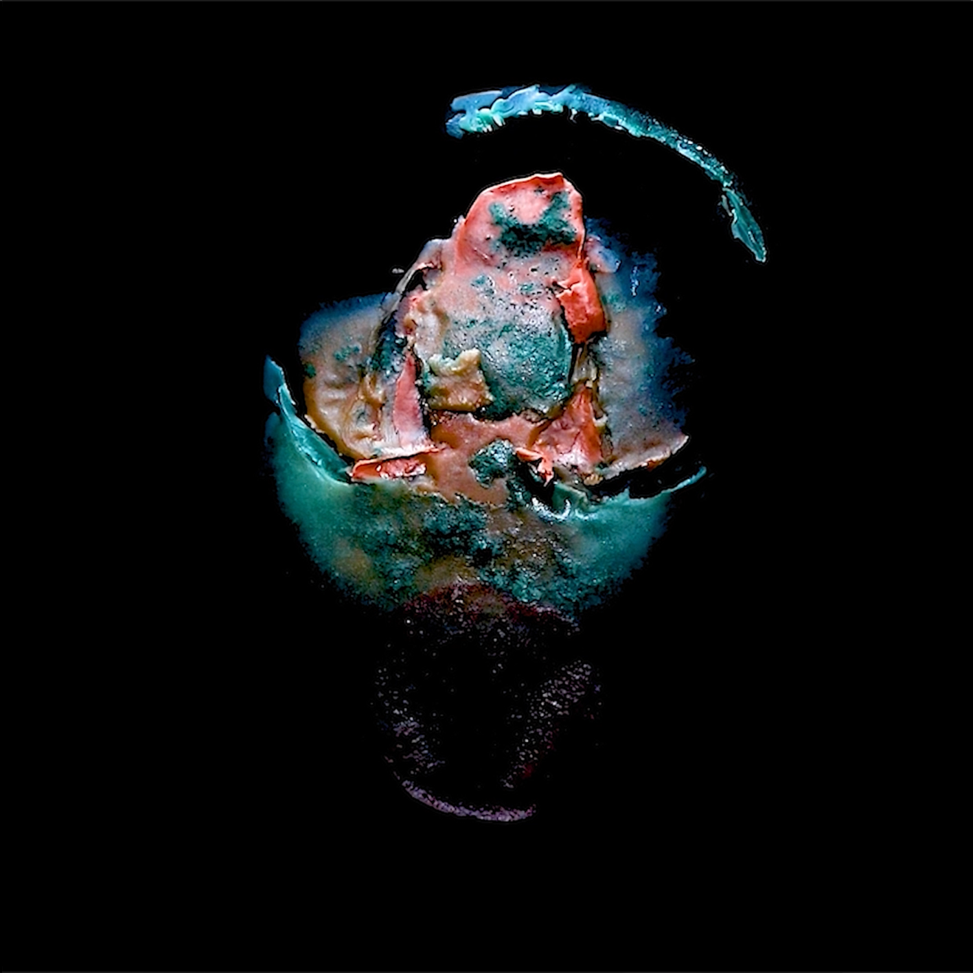 Supernova